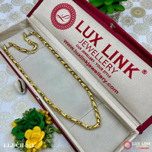 Delicate Design  Gold Plated Chain for Men - CH- 216